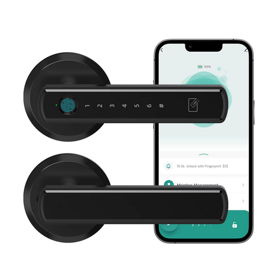 Smart Keyless Entry Door Lock