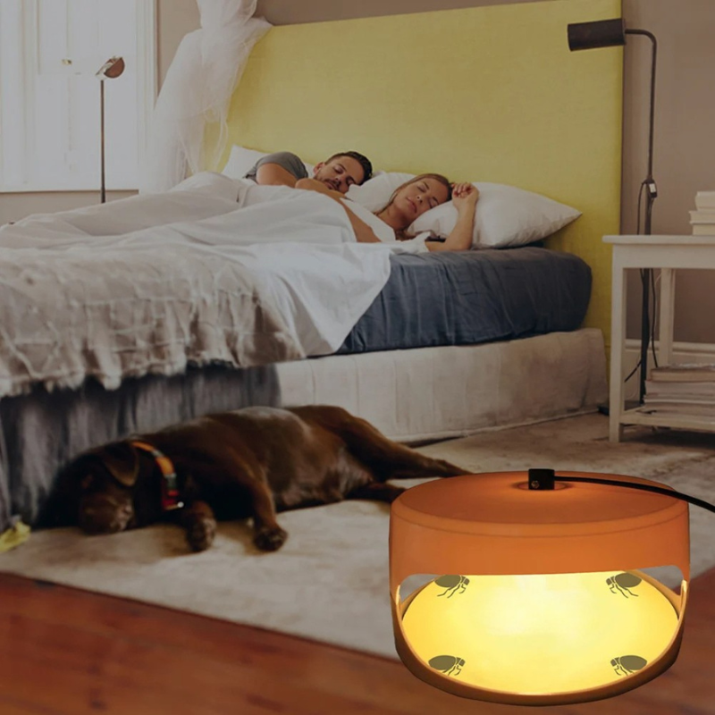 Effective Indoor Bed Bug Trap