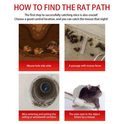 Humane Sliding Door Mouse Trap