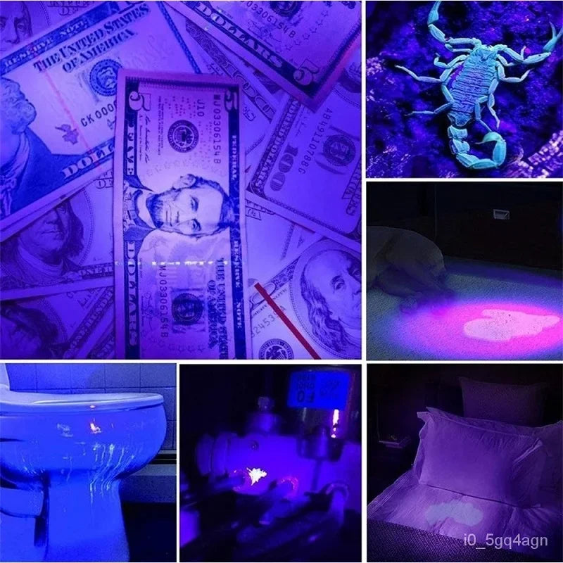 UV Flashlight for Bed Bug and Stain Detection