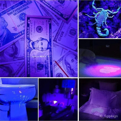 UV Flashlight for Bed Bug and Stain Detection
