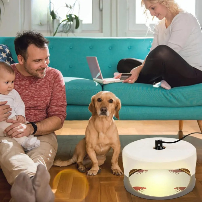 Effective Indoor Bed Bug Trap