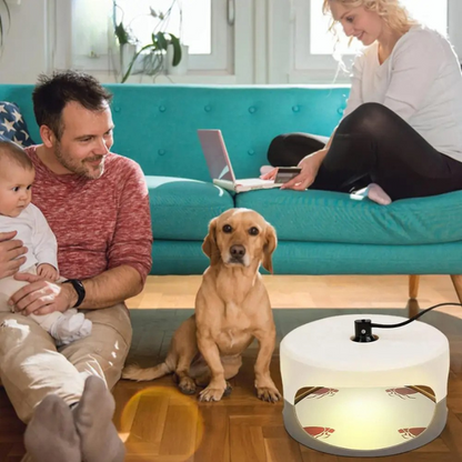 Effective Indoor Bed Bug Trap