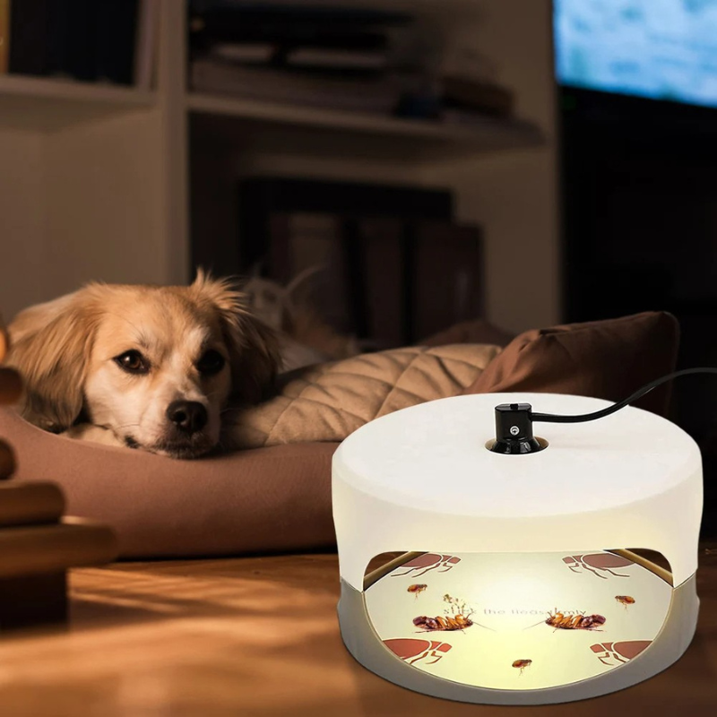 Effective Indoor Bed Bug Trap