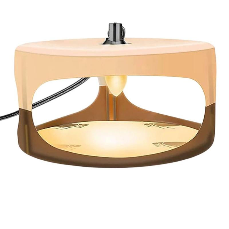 Effective Indoor Bed Bug Trap
