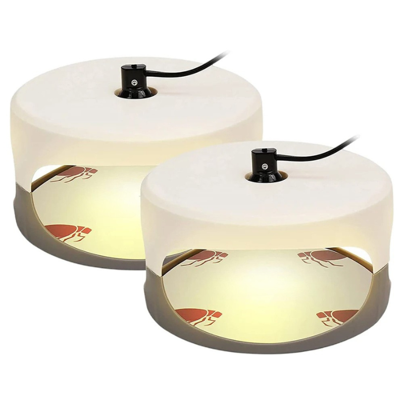 Effective Indoor Bed Bug Trap