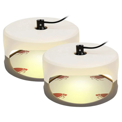 Effective Indoor Bed Bug Trap