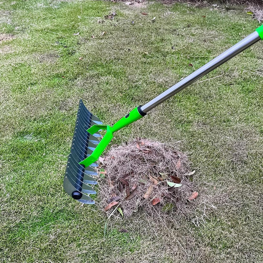 Long-Reach Thatch Rake for Healthier Lawns