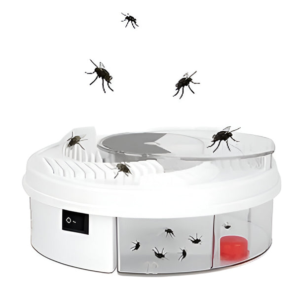 Ultra-Effective Indoor Fly Trap