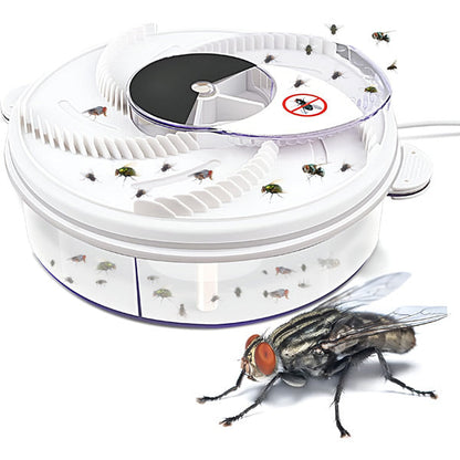 Ultra-Effective Indoor Fly Trap