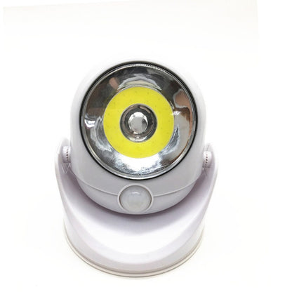 Motion-Sensor Weatherproof LED Outdoor Light