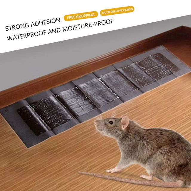 5 XL Glue Pads for Rodents