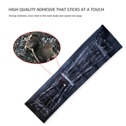 5 XL Glue Pads for Rodents