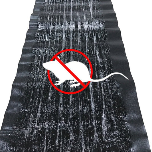 Large Non-Toxic Pest Trap for Peaceful Homes