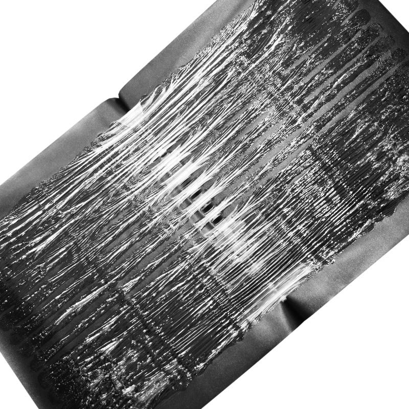 Large Non-Toxic Pest Trap for Peaceful Homes