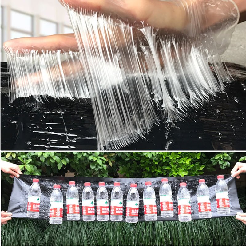 Large Non-Toxic Pest Trap for Peaceful Homes