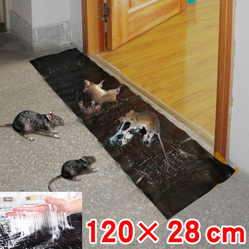 Large Non-Toxic Pest Trap for Peaceful Homes