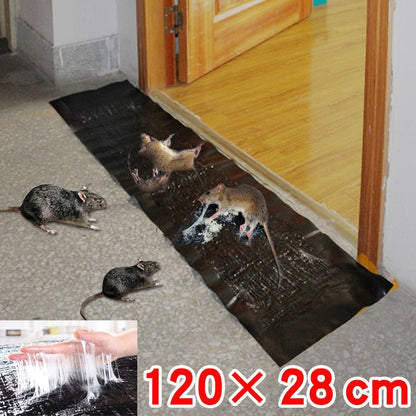 Large Non-Toxic Pest Trap for Peaceful Homes