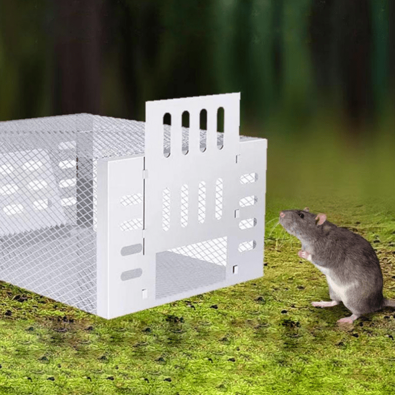 Reusable Humane Live-Catch Mouse Trap