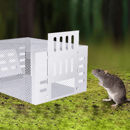 Reusable Humane Live-Catch Mouse Trap