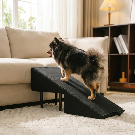 Dog ramp and step stool by sofa