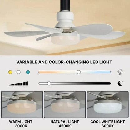 Whisper-Quiet Ceiling Fan