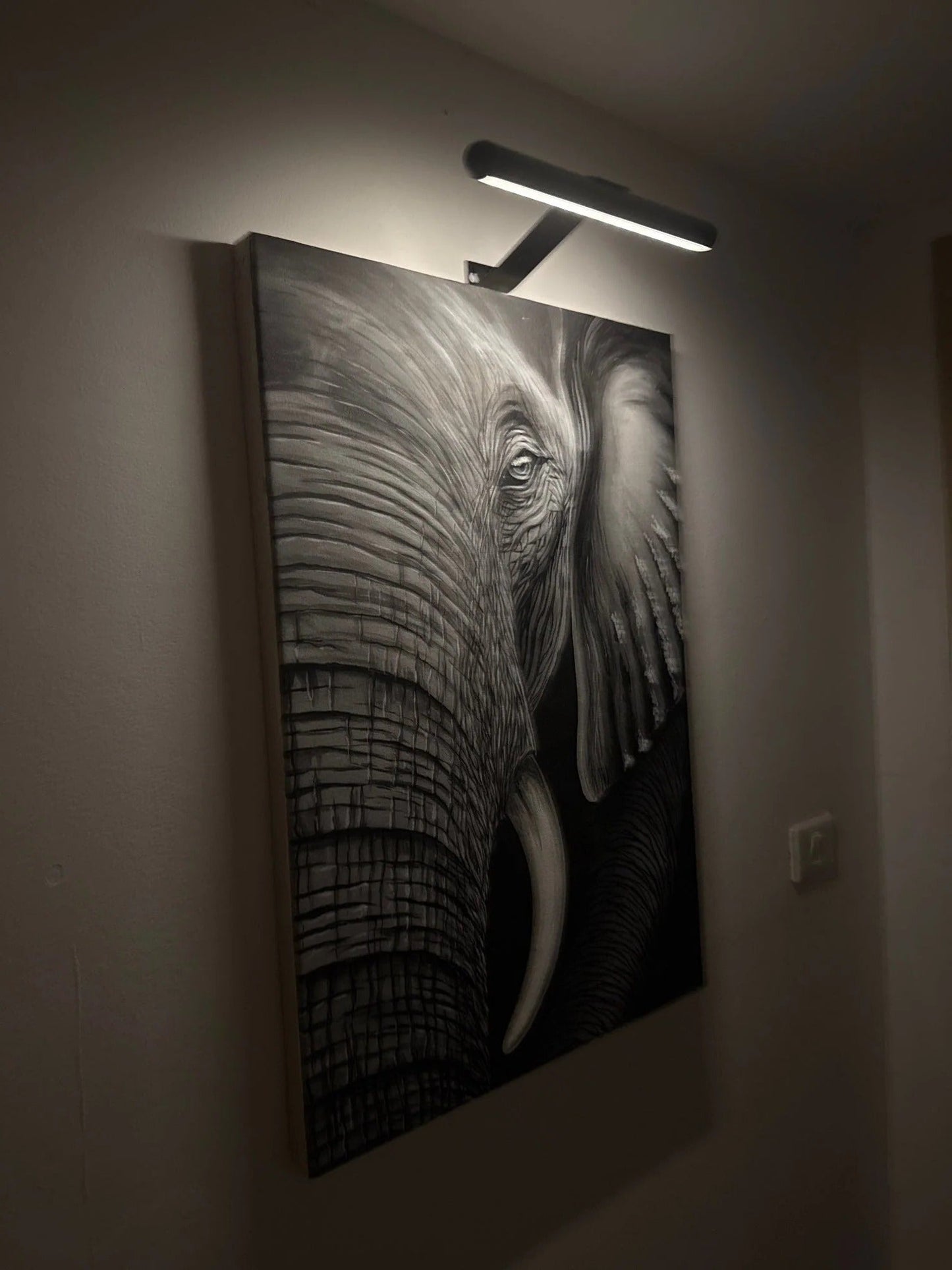 Wireless LED Picture Light for Wall Art