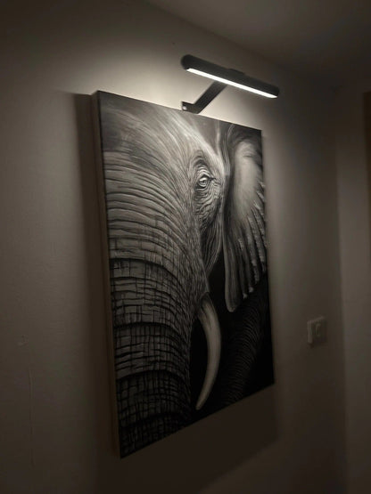 Wireless LED Picture Light for Wall Art